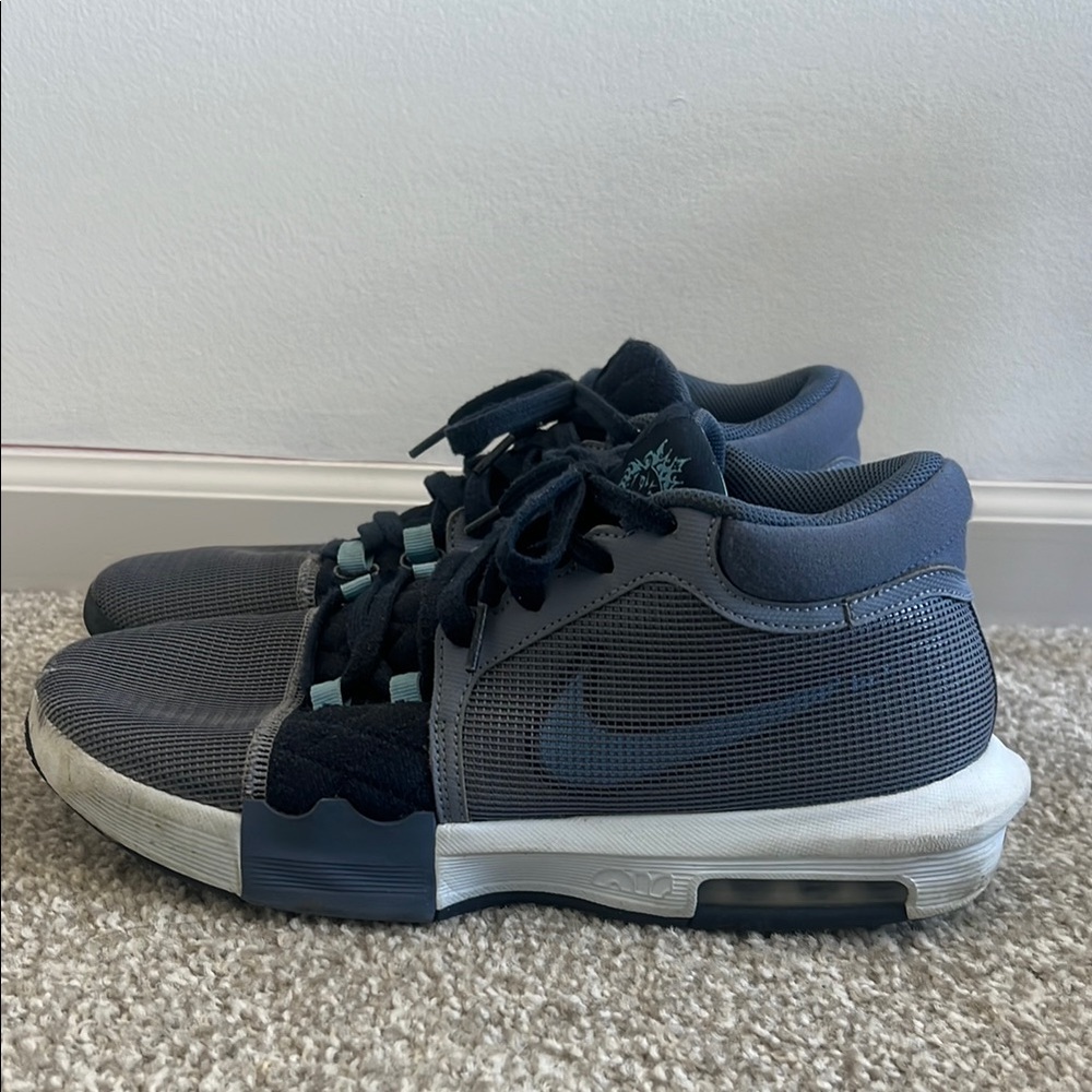 Nike LeBron Witness